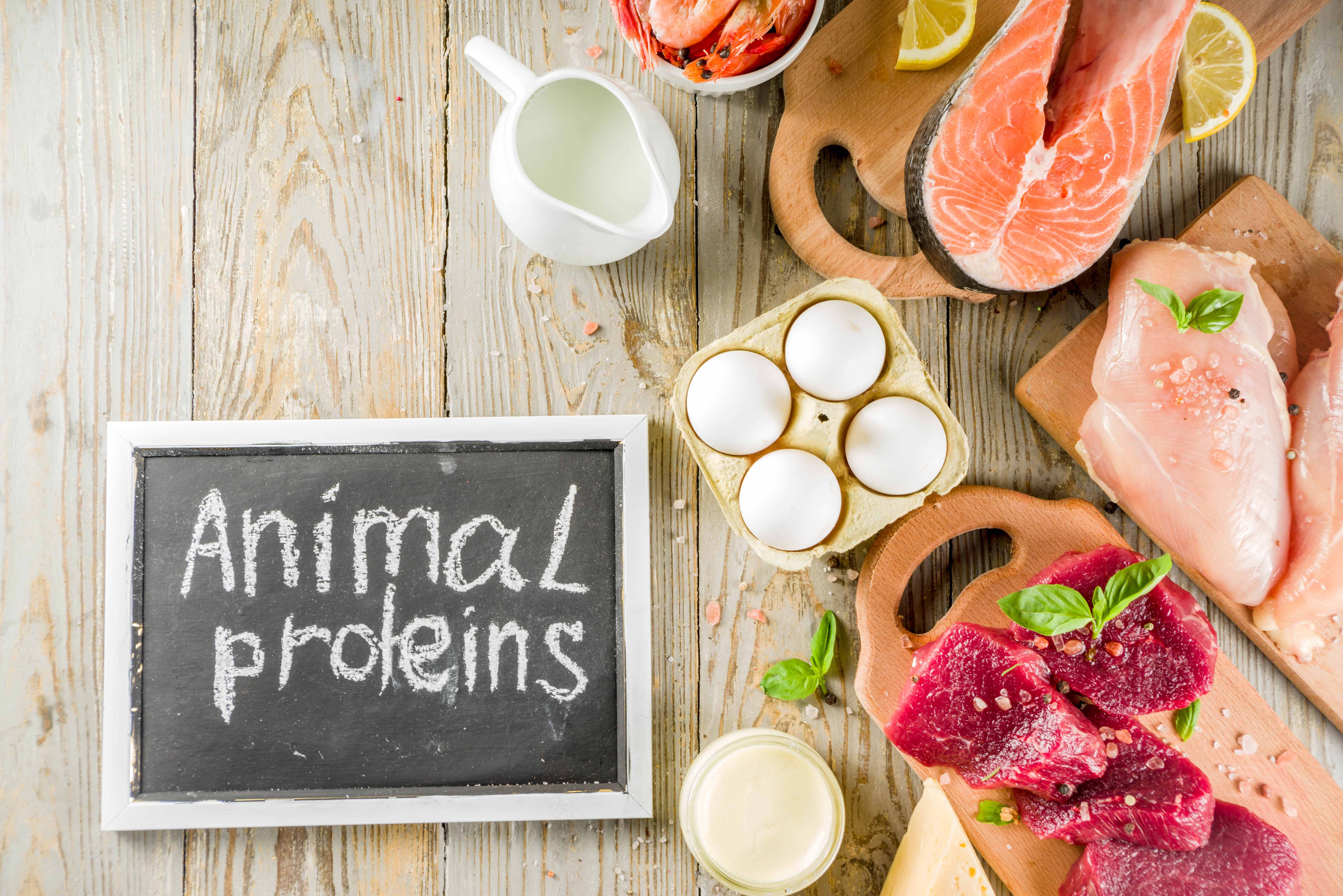 Разнообразие белков: сколько их в организме?